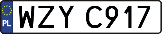 WZYC917