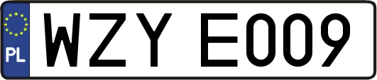 WZYE009
