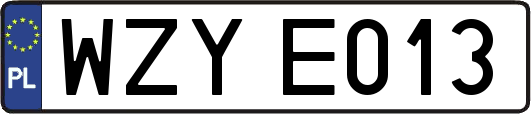 WZYE013
