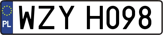 WZYH098
