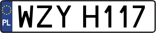 WZYH117