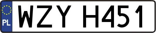 WZYH451