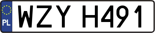 WZYH491