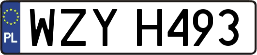 WZYH493