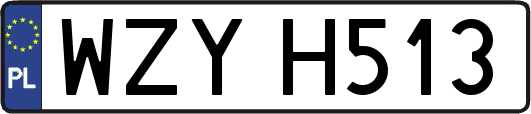 WZYH513