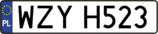 WZYH523