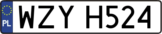 WZYH524