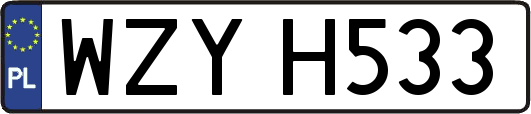 WZYH533