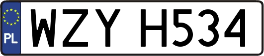 WZYH534