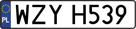 WZYH539