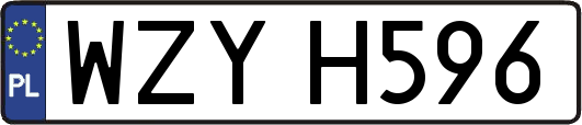 WZYH596