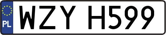 WZYH599