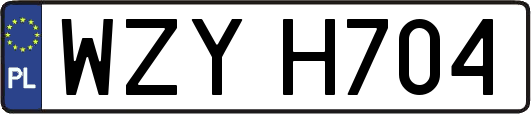 WZYH704