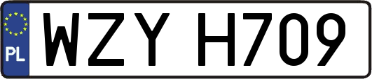 WZYH709