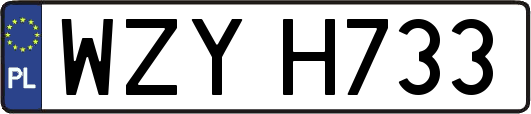 WZYH733
