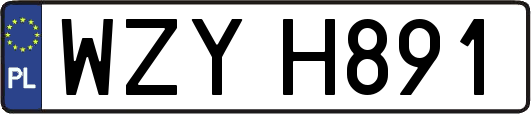 WZYH891