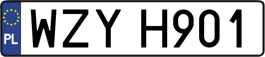 WZYH901