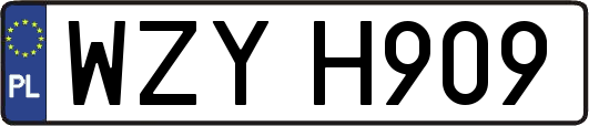 WZYH909