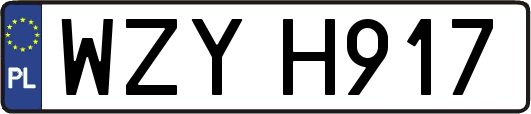 WZYH917
