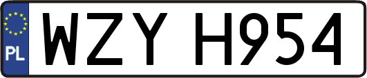 WZYH954