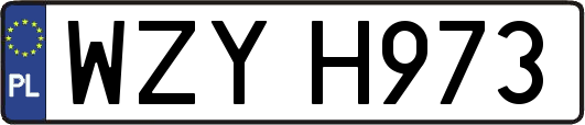 WZYH973