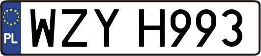 WZYH993