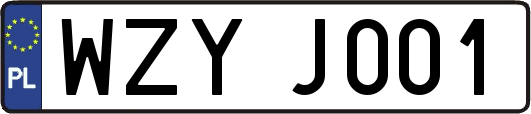WZYJ001