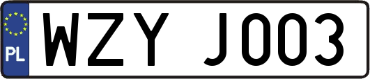 WZYJ003