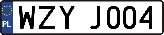 WZYJ004