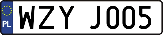WZYJ005