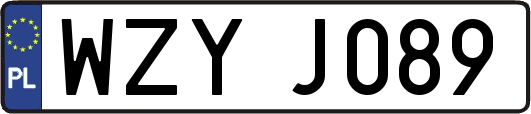 WZYJ089