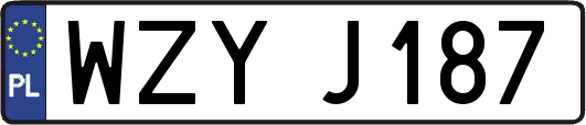 WZYJ187