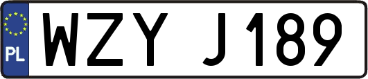 WZYJ189