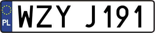 WZYJ191