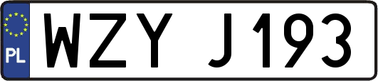 WZYJ193