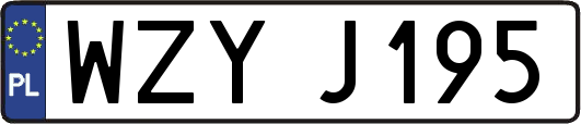 WZYJ195
