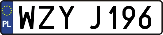 WZYJ196