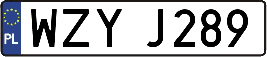 WZYJ289