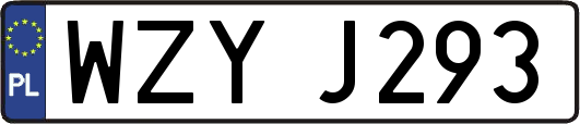 WZYJ293