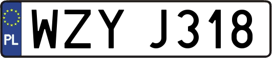 WZYJ318