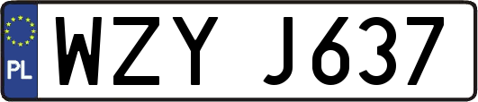 WZYJ637