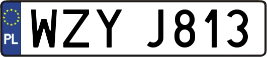 WZYJ813