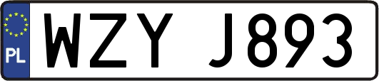 WZYJ893