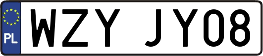 WZYJY08