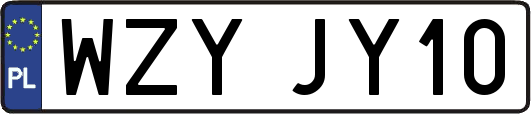 WZYJY10