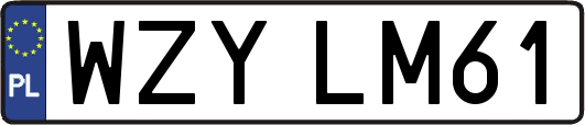 WZYLM61