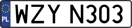 WZYN303