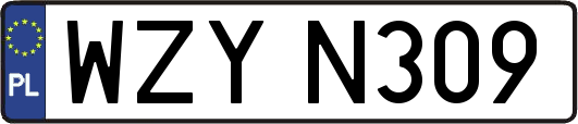 WZYN309
