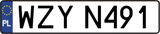 WZYN491