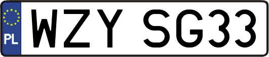 WZYSG33